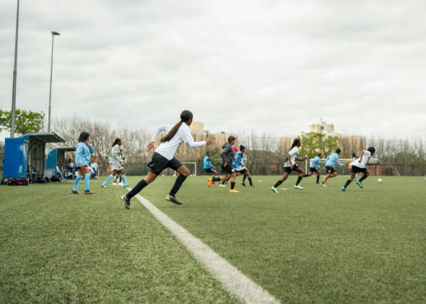 反观欧美传 反观欧美传